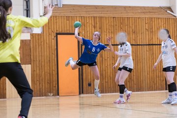 Bild 77 - wBJ TSV Ellerau - SV Fehmarn : Ergebnis: 27:20